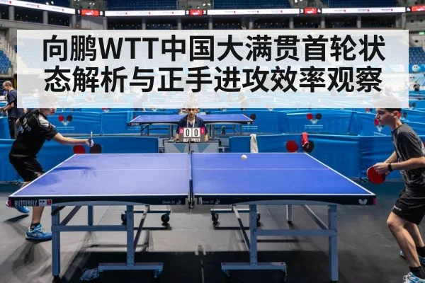 professional table tennis match