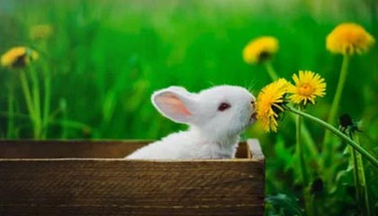 “湘超”开赛，打造文体旅新品牌